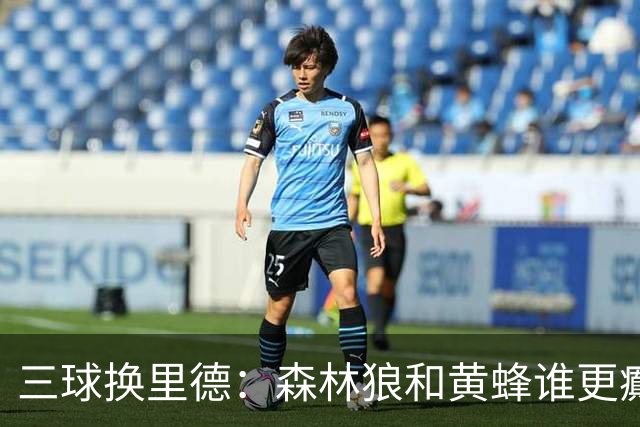 三球换里德：森林狼和黄蜂谁更癫？！